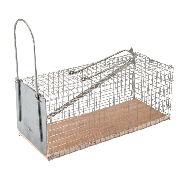 Cage design traps mice humanely